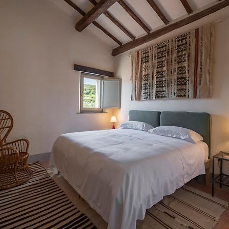 Locanda Fontelupa Campagnatico Værelse billede